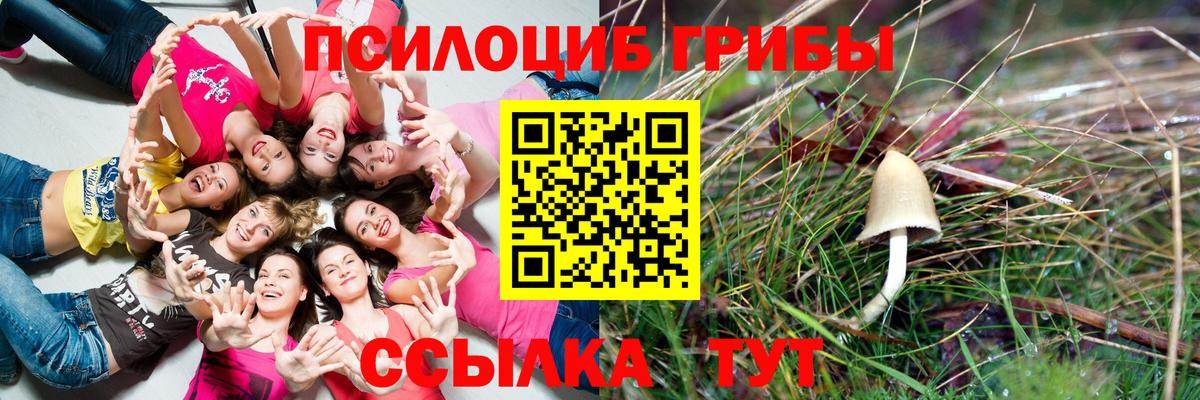 Лабытнанги  Псилоцибиновые грибы ЛСД  Вход с VPN  Галлюциногенные грибы прущие грибы 